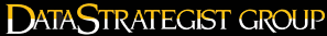 Data Strategist Group